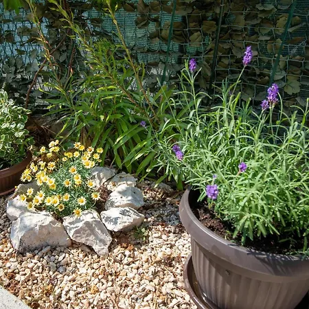 5 Bedroom Stunning In * Ploce (Dubrovnik-Neretva)