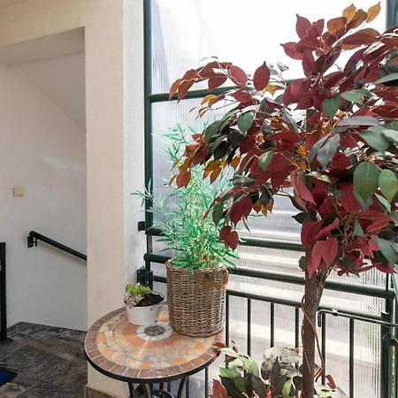 Apartman Cozy In With Wifi