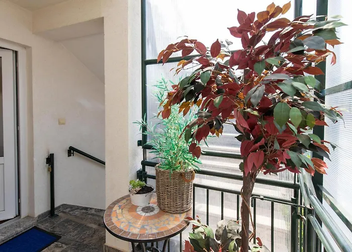 Apartment 5 Bedroom Stunning In