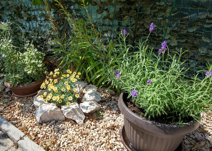 5 Bedroom Stunning In * Ploce (Dubrovnik-Neretva)