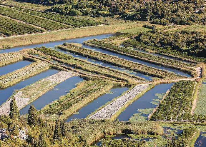 5 Bedroom Stunning In Apartment Ploce (Dubrovnik-Neretva)